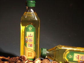 食用油選擇指南 從標簽到搭配，科學(xué)選油更健康