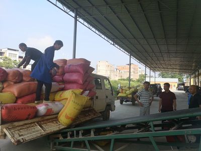 縣發(fā)改局強化夏糧收購監(jiān)管與服務(wù)，筑牢糧食市場秩序與安全保障